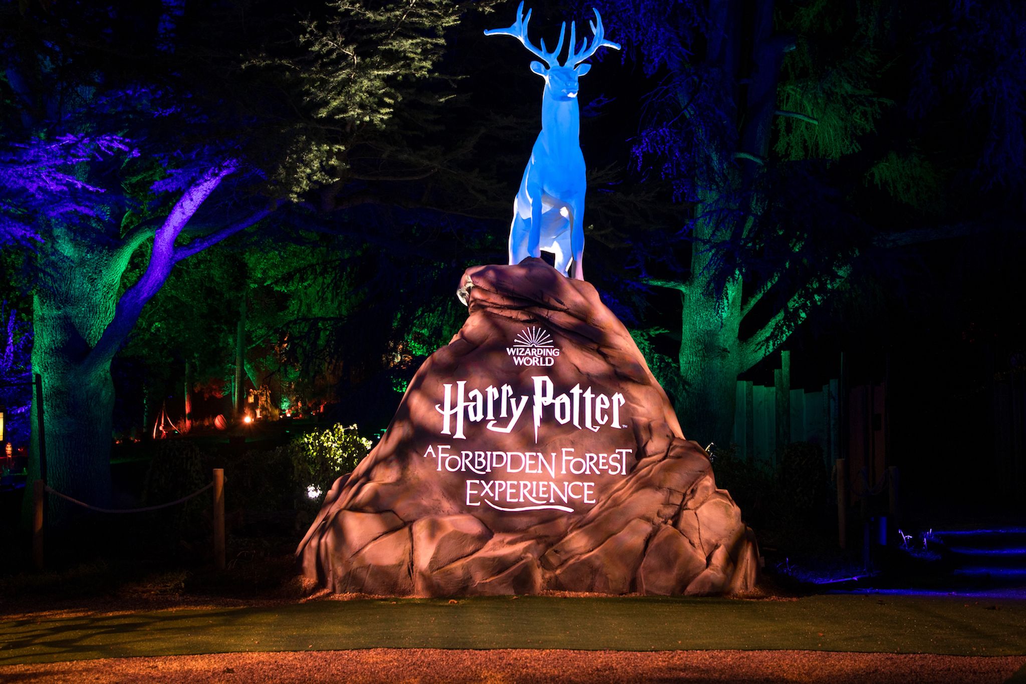 The official Harry Potter Forbidden Forest experience is coming to Vancouver's Stanley Park