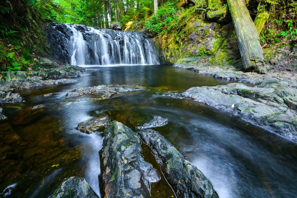 Lower Mainland park upgrading wilderness escape with $4 million project