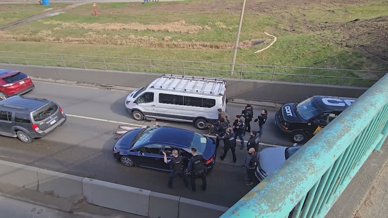 �������������¼�