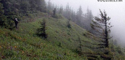 ��һ�¹ۿ�����ͼƬ
 ============== 
ɽ��
6������ELK MOUNTAIN
�ؼ���: 6��  ELK MOUNTAIN