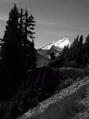 ��һ�¹ۿ�����ͼƬ
 ============== 
˭��ɽ��
�ڰ�ģʽ

