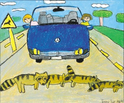 ��һ�¹ۿ�����ͼƬ
 ============== 
��ͨ����
��ͯ�����Ƚ�
���ߣ������Jenny Sun��9�꣩
(...)
