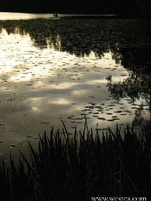 ��һ�¹ۿ�����ͼƬ
 ============== 
��
5�»ƻ�����¹��
canon g3
�ؼ���: 5��  �ƻ�  ¹��