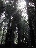Resize of Resize of Rotation of DSCN0046.JPG