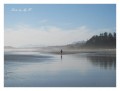 linsen_westcoast31.jpg