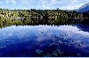 brownlake800.jpg