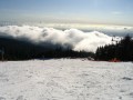 IMG_2601.jpg