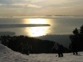 IMG_2628.jpg