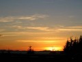 IMG_2662~0.jpg