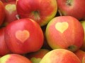 Appel Happel.jpg