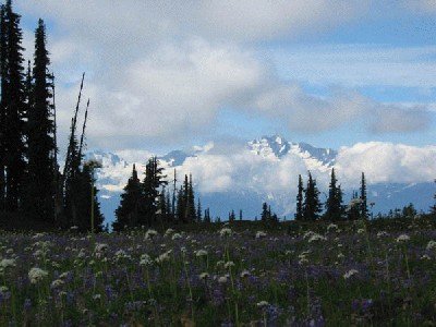 ��һ�¹ۿ�����ͼƬ
 ============== 
Mount on the far side
