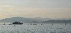 IMG_1504.jpg
