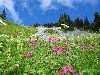 IMG_1849.jpg