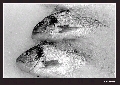 ^
