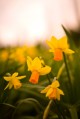 5d-test032808.jpg