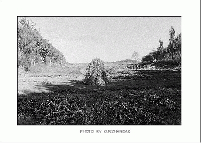 ��һ�¹ۿ�����ͼƬ
 ============== 
�ҵı���2003�����ԣ�
���ᣬ���ݺ���

