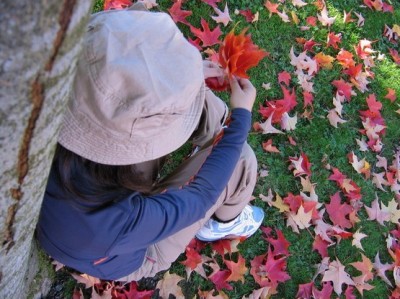 һ¹ۿͼƬ
 ============== 
2004 autumn
