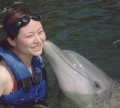 haiyan&dolphin1.jpg