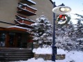 whistler