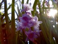 DƬ0043.jpg