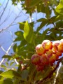 DƬ0054.jpg