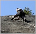1climbing 138.jpg