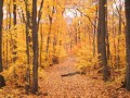 color2.jpg