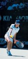 henin4.jpg