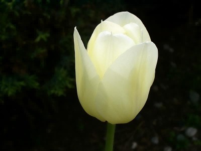 ��һ�¹ۿ�����ͼƬ
 ============== 
������Բ
