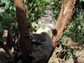 DSC06680s.jpg