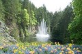 aaa
