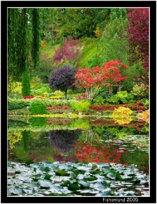 һ¹ۿͼƬ
 ============== 
Butchart Garden in the Fall 2
