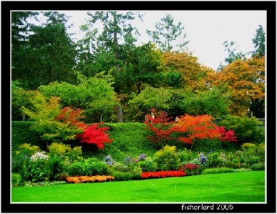 һ¹ۿͼƬ
 ============== 
Butchart Garden in the Fall 3
