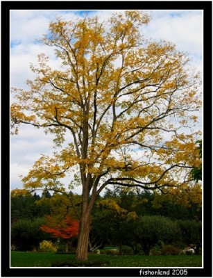 һ¹ۿͼƬ
 ============== 
Butchart Garden in the Fall 7
