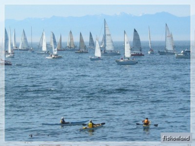 ��һ�¹ۿ�����ͼƬ
 ============== 
International Swiftsure Race 2005 Victoria
