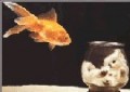fish.jpg
