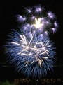 firework1.jpg