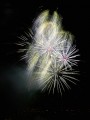 firework2.jpg