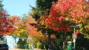 6e525257.jpg