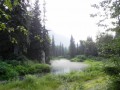 Fish Creek, Stewart