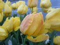 DSCF0088_6.jpg