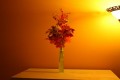 test 001.JPG