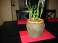 Picture 018.jpg