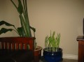Picture 019.jpg