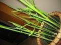 Picture 026.jpg