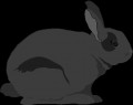 Rabbit02.png