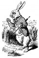 rabbit.png
