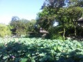 20120729_075456.jpg