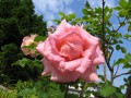 IMG_0024~0.jpg