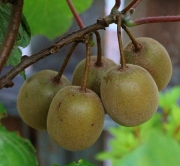 644e4646.jpg